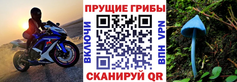 Псилоцибиновые грибы GOLDEN TEACHER  Борисоглебск 