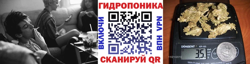 наркошоп Борисоглебск Каннабис гибрид
